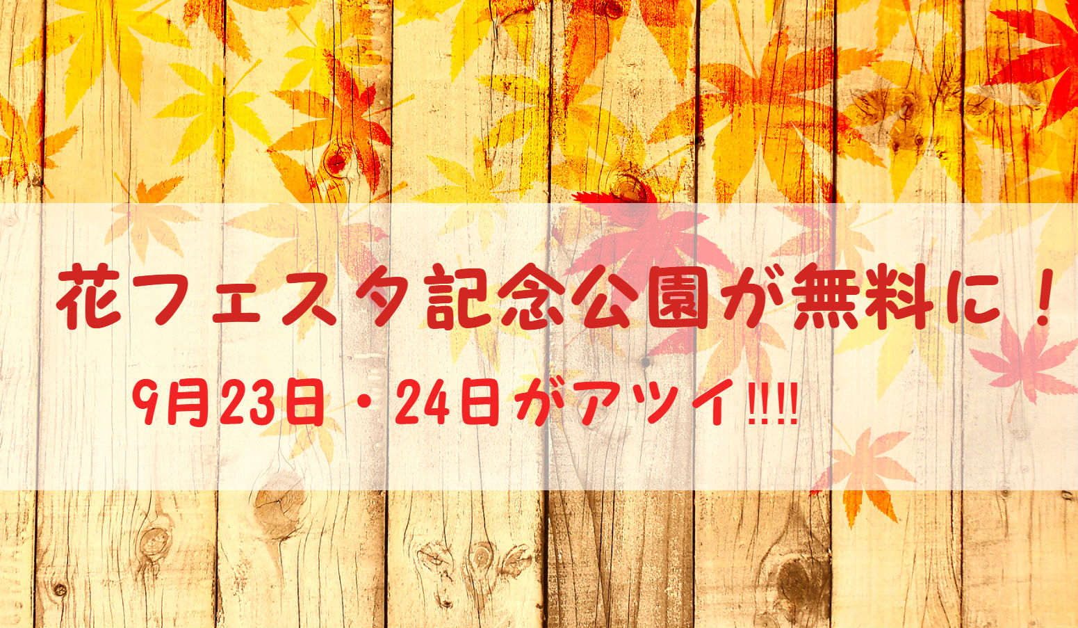 【花フェスタ記念公園イベント】入場無料は9月23日と24日！